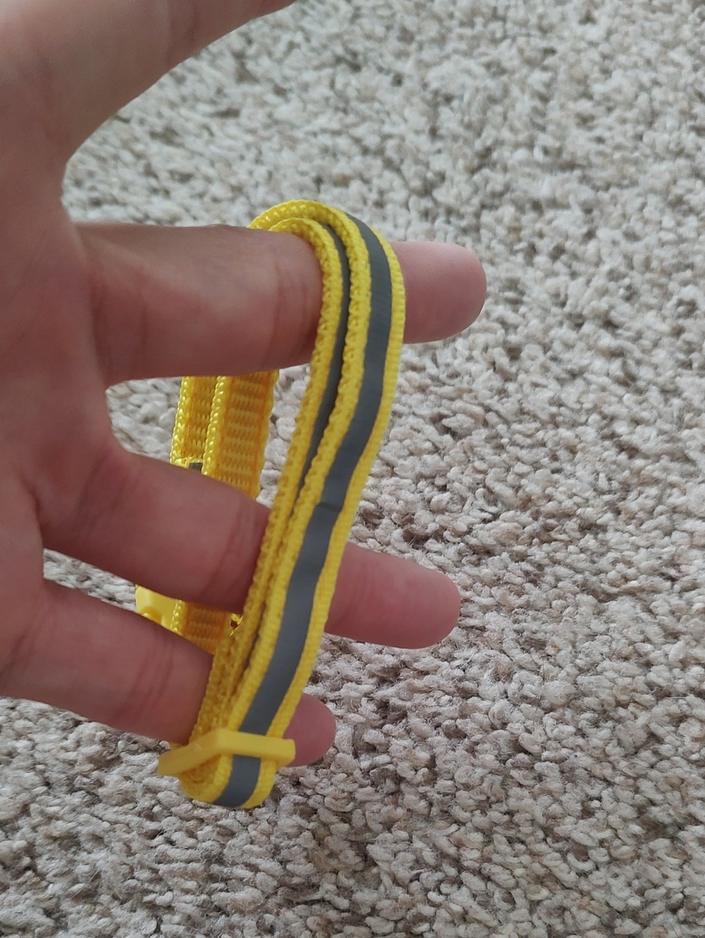 (8) Reflective Cat Collars - Picture 6 of 10
